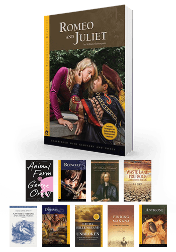 9th Grade Florida B.E.S.T. Classroom Library Pack